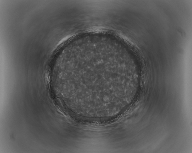 X0000113061206200909250901