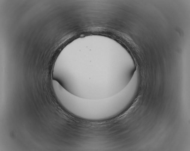 X0000113061209200909250901