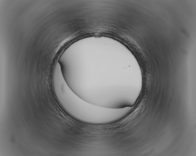 X0000113061210200909250901