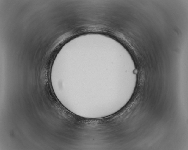 X0000113061211200909250901