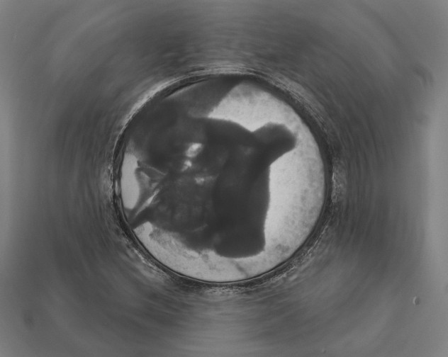 X0000113061212200909250901