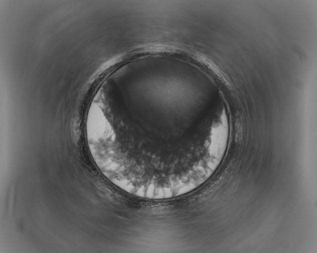 X0000113061213200909250901