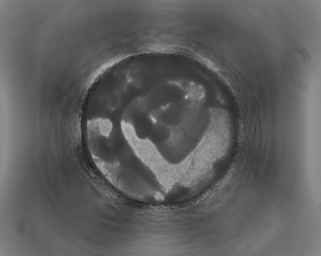 X0000113061214200909250901