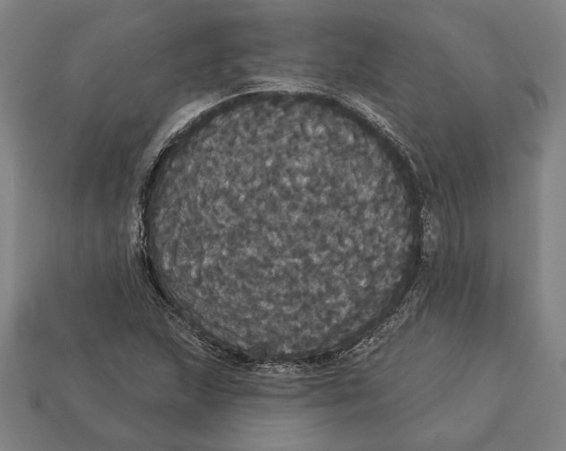 X0000113061215200909250901