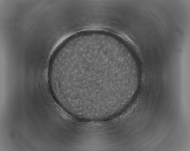 X0000113061216200909250901