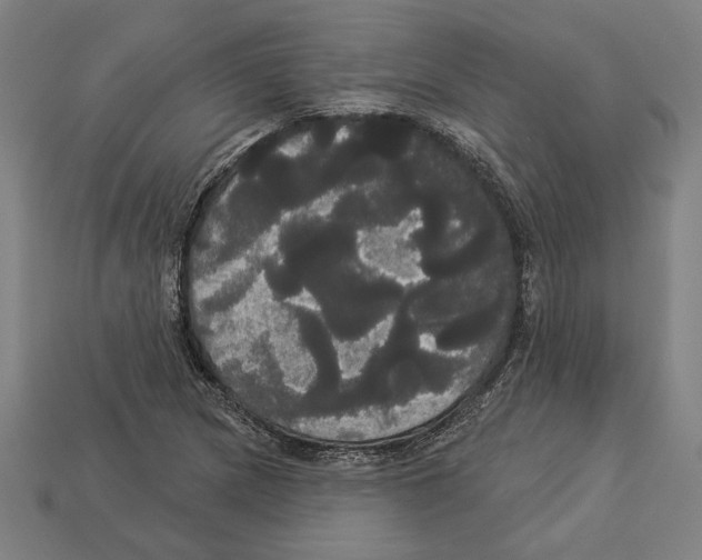 X0000113061217200909250901