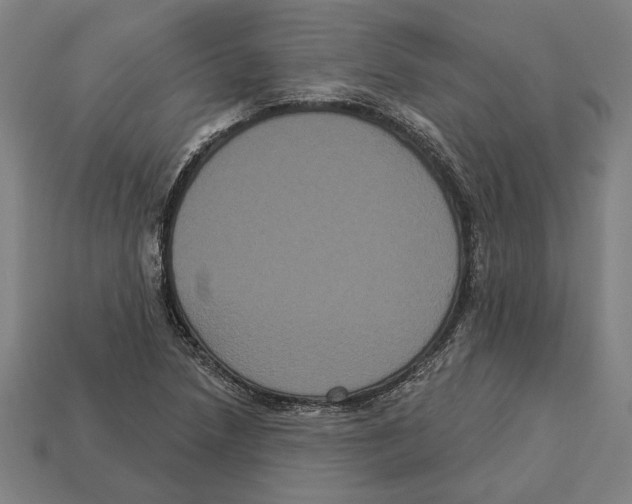 X0000113061218200909250901