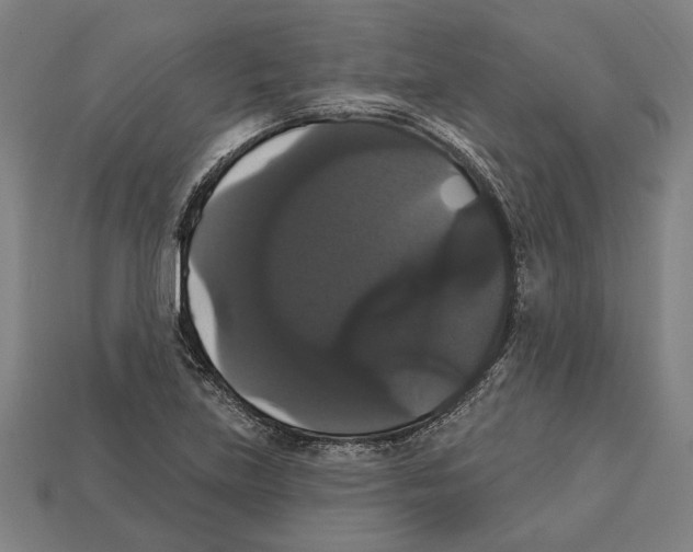 X0000113061219200909250902