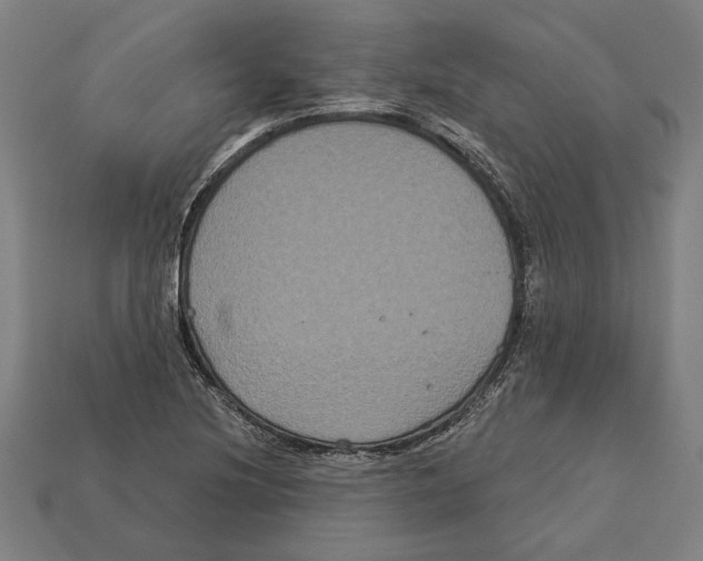 X0000113061220200909250902