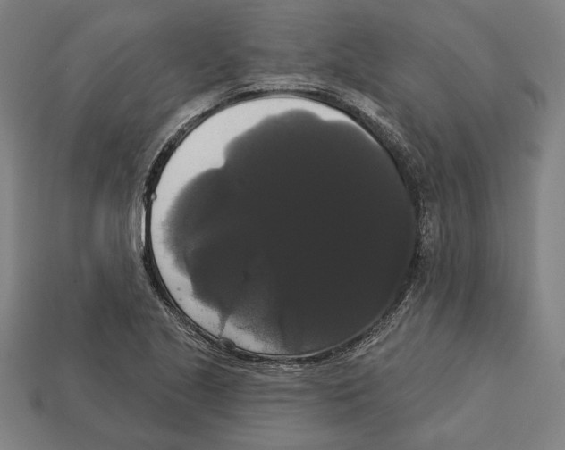 X0000113061221200909250902