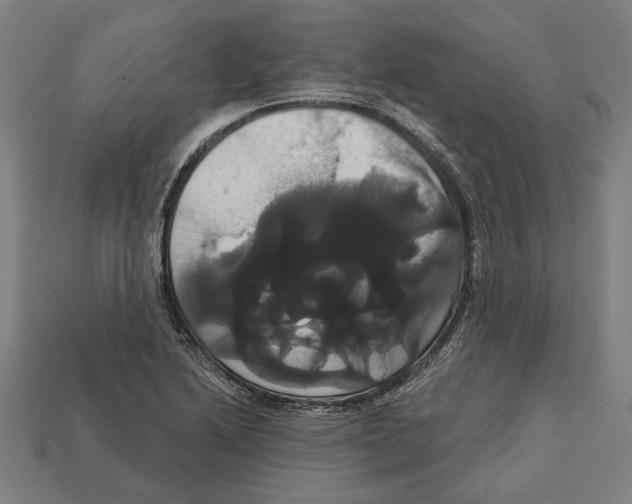 X0000113061222200909250902