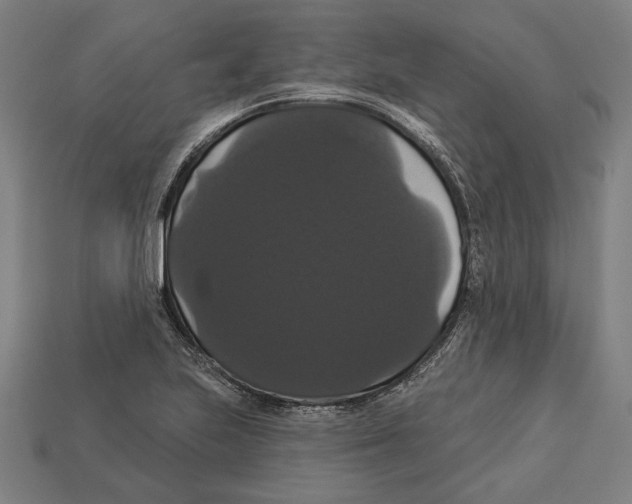 X0000113061223200909250902