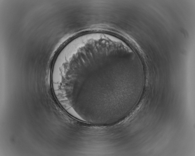 X0000113061224200909250902