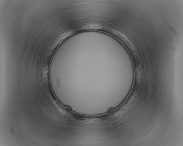 X0000113061225200909250902