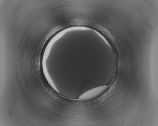 X0000113061226200909250902