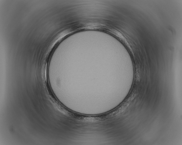 X0000113061227200909250902