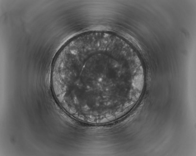 X0000113061228200909250902