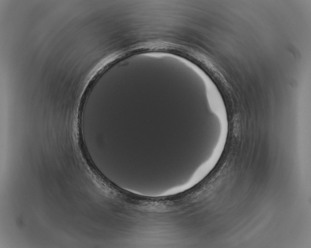 X0000113061229200909250902