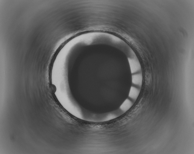 X0000113061230200909250902