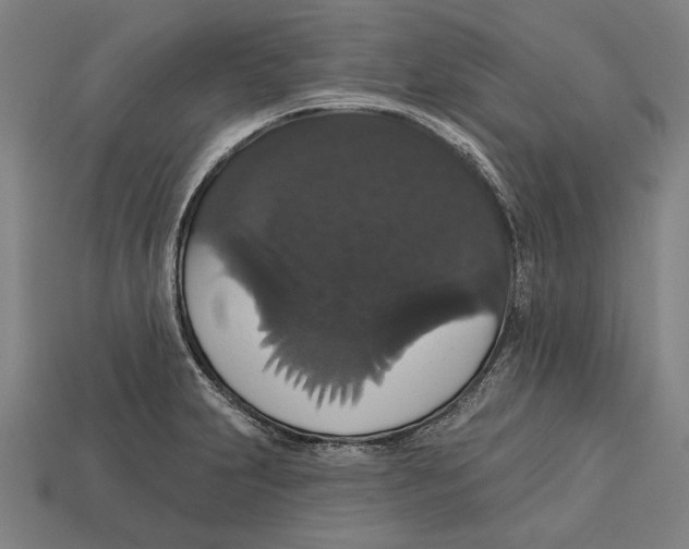 X0000113061231200909250902