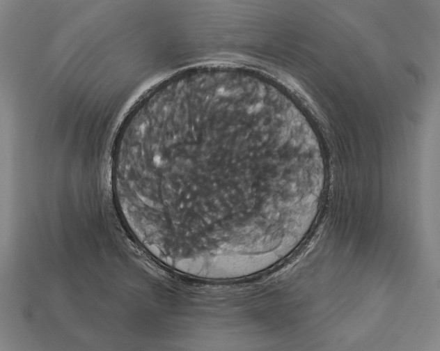 X0000113061232200909250902