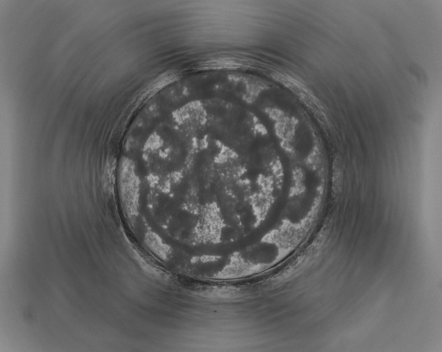 X0000113061233200909250902