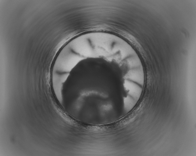 X0000113061234200909250902