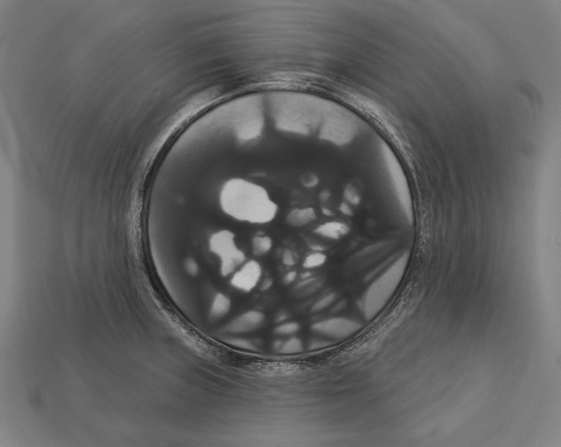 X0000113061235200909250902