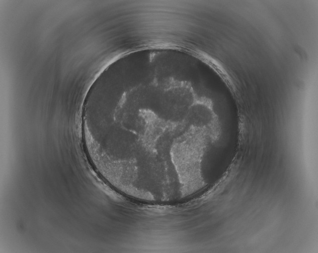 X0000113061236200909250902