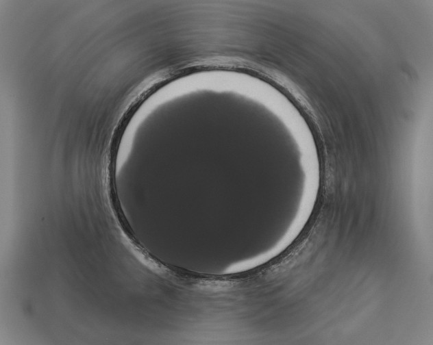 X0000113061237200909250902