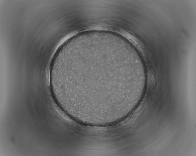 X0000113061238200909250902