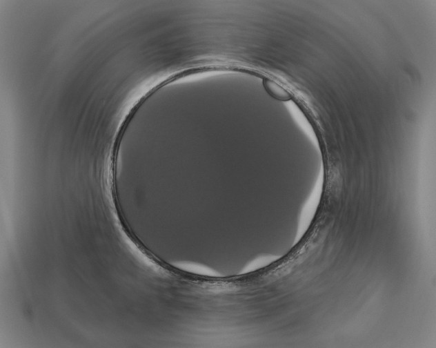 X0000113061239200909250902