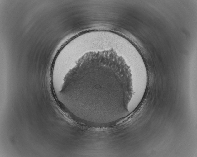 X0000113061240200909250902