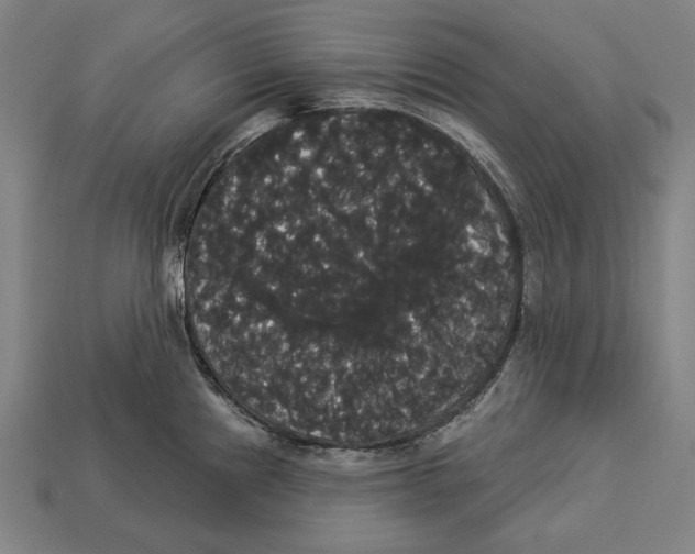 X0000113061241200909250902