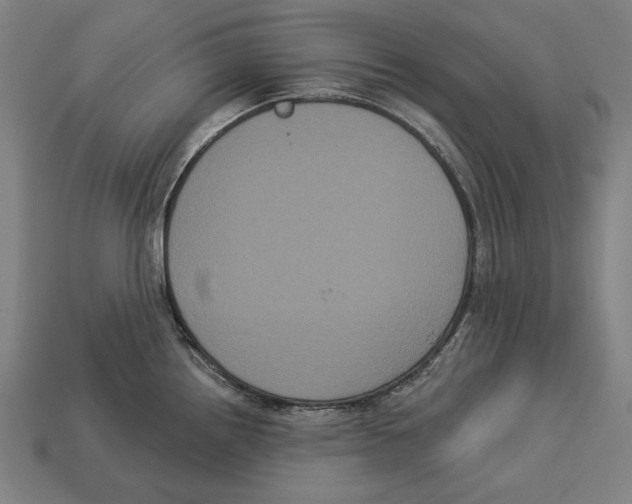 X0000113061242200909250902