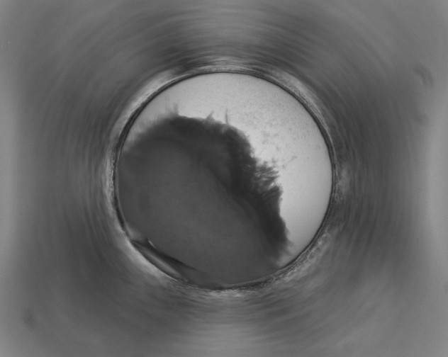 X0000113061243200909250902