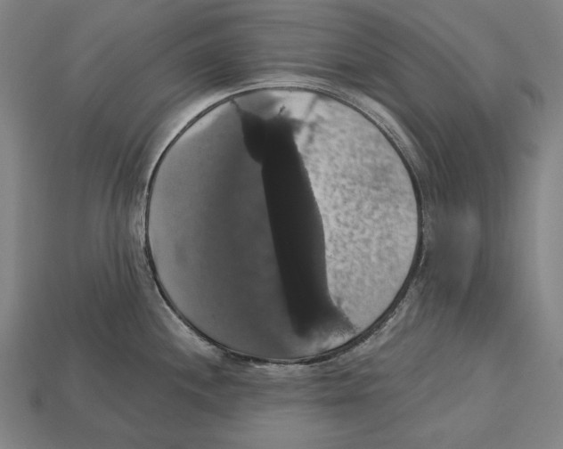 X0000113061244200909250902