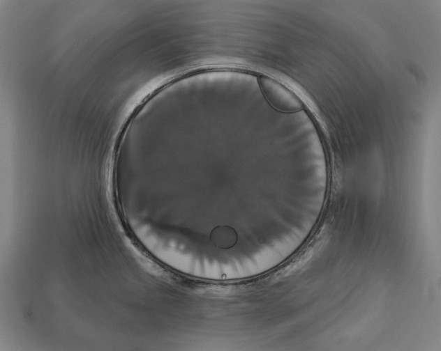 X0000113061245200909250902