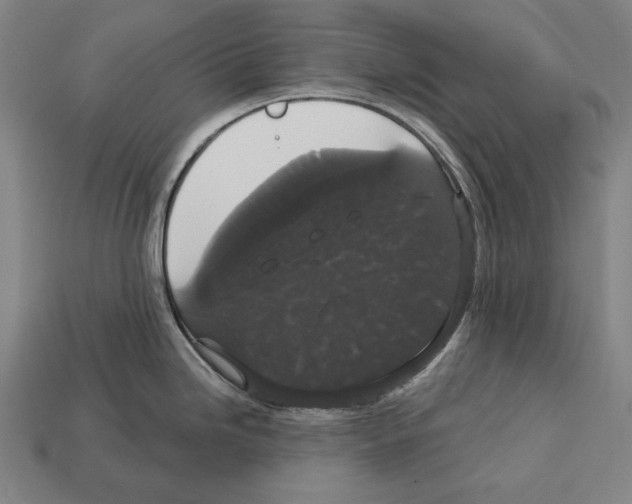 X0000113061246200909250902