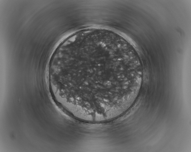 X0000113061247200909250902