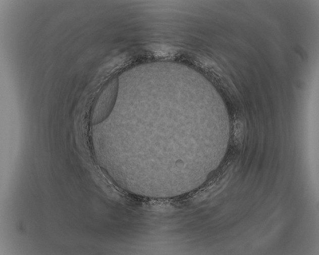 X0000113061249200909250901