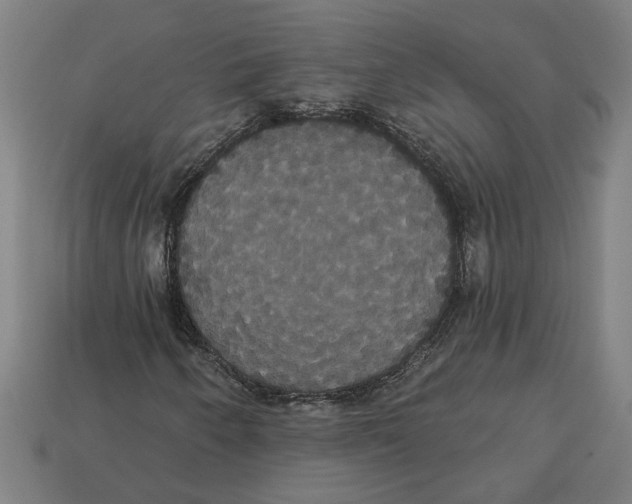 X0000113061250200909250901