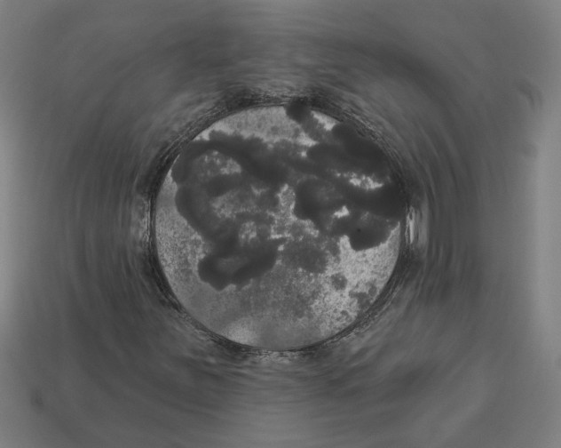 X0000113061251200909250901