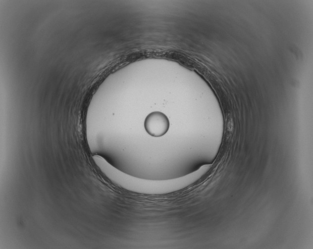 X0000113061252200909250901