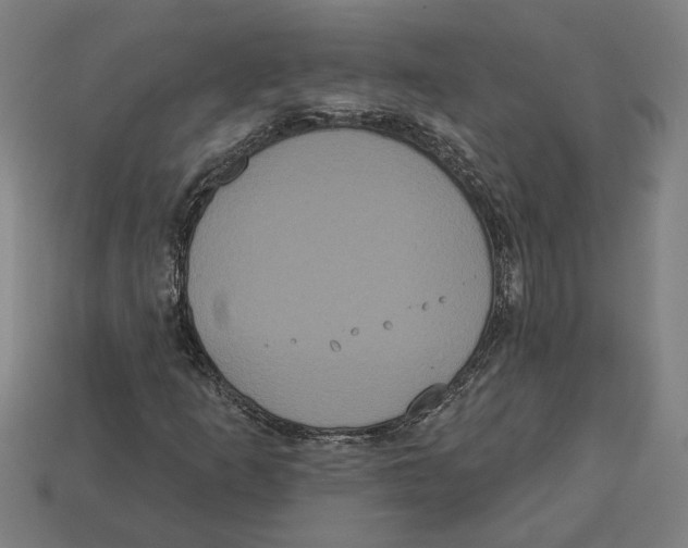 X0000113061253200909250901