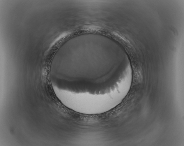 X0000113061254200909250901