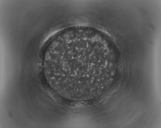 X0000113061255200909250901