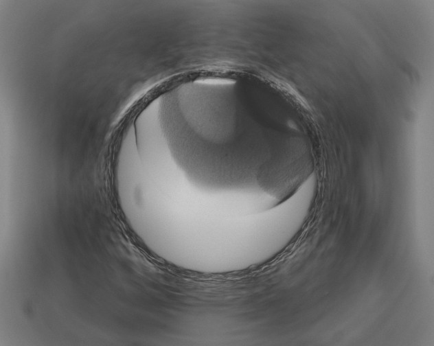 X0000113061256200909250901