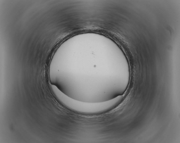 X0000113061257200909250901