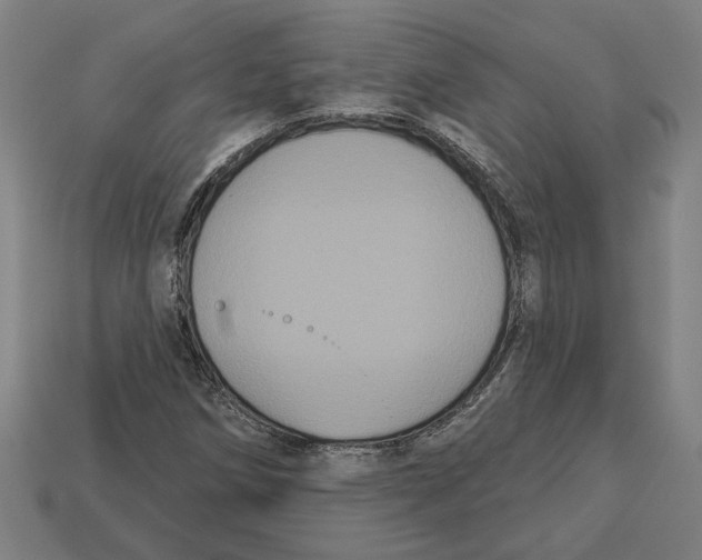 X0000113061258200909250901